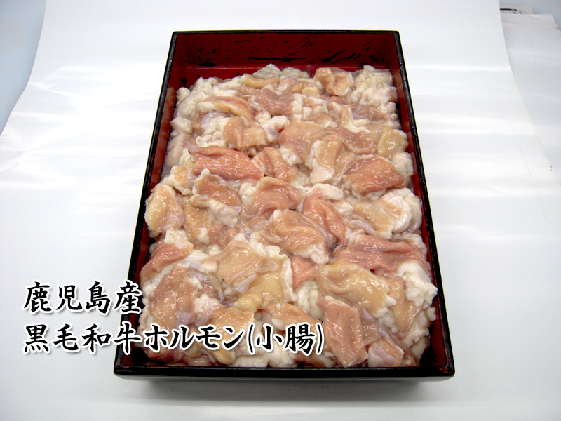 黒毛和牛ホルモン（小腸）